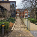 Nissan Institute - Entrances - (9 of 13) - Ramp towards step free entrance