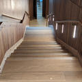 Rhodes House - Convening Hall - (6of 12) - Stairs