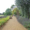 Merton College - Gardens - (5 of 5) 